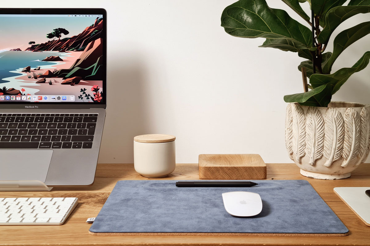 An image of a computer, a keyboard,
a mouse, a mouse pad, and a plant on a desk