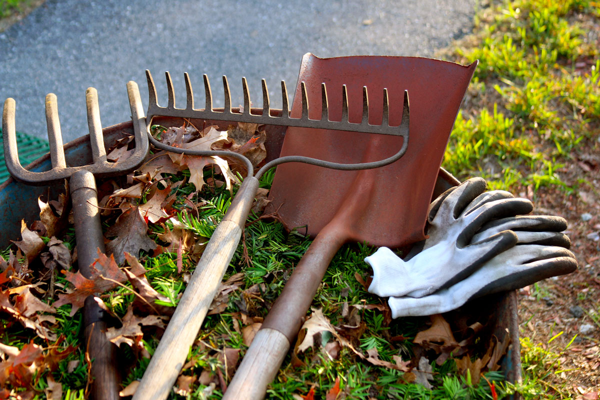 An image of large gardening tools