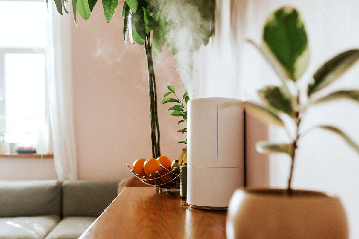 An image of a humidifier on a table with small plants