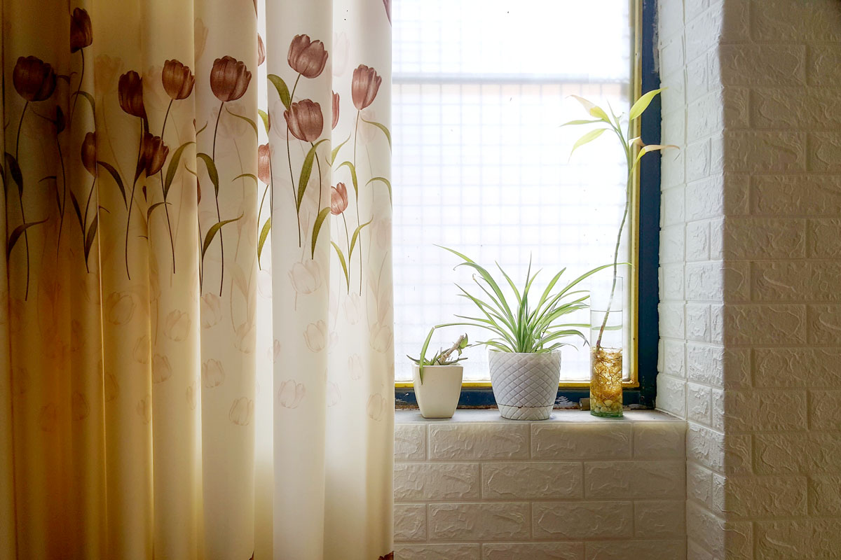 An image of a bathroom with a floral shower curtain and plants on a windowsill