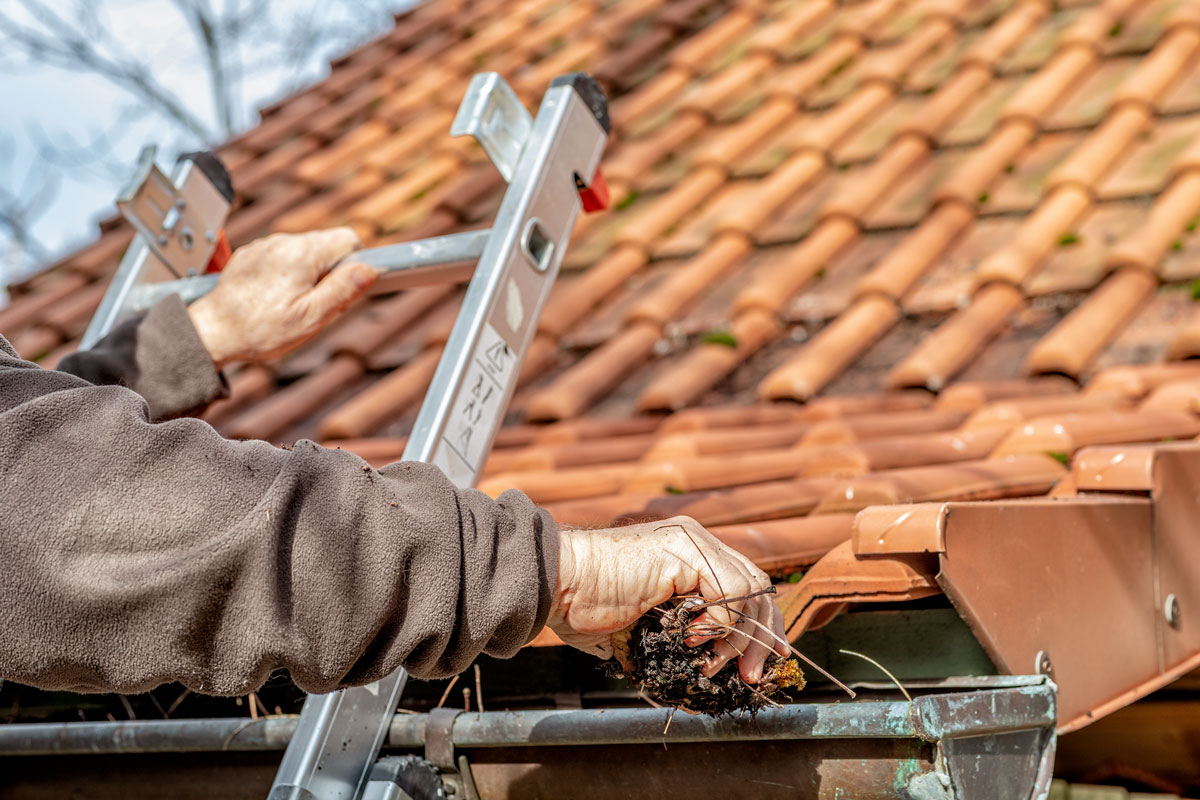 An image of a man on a ladder cleaning home gutters