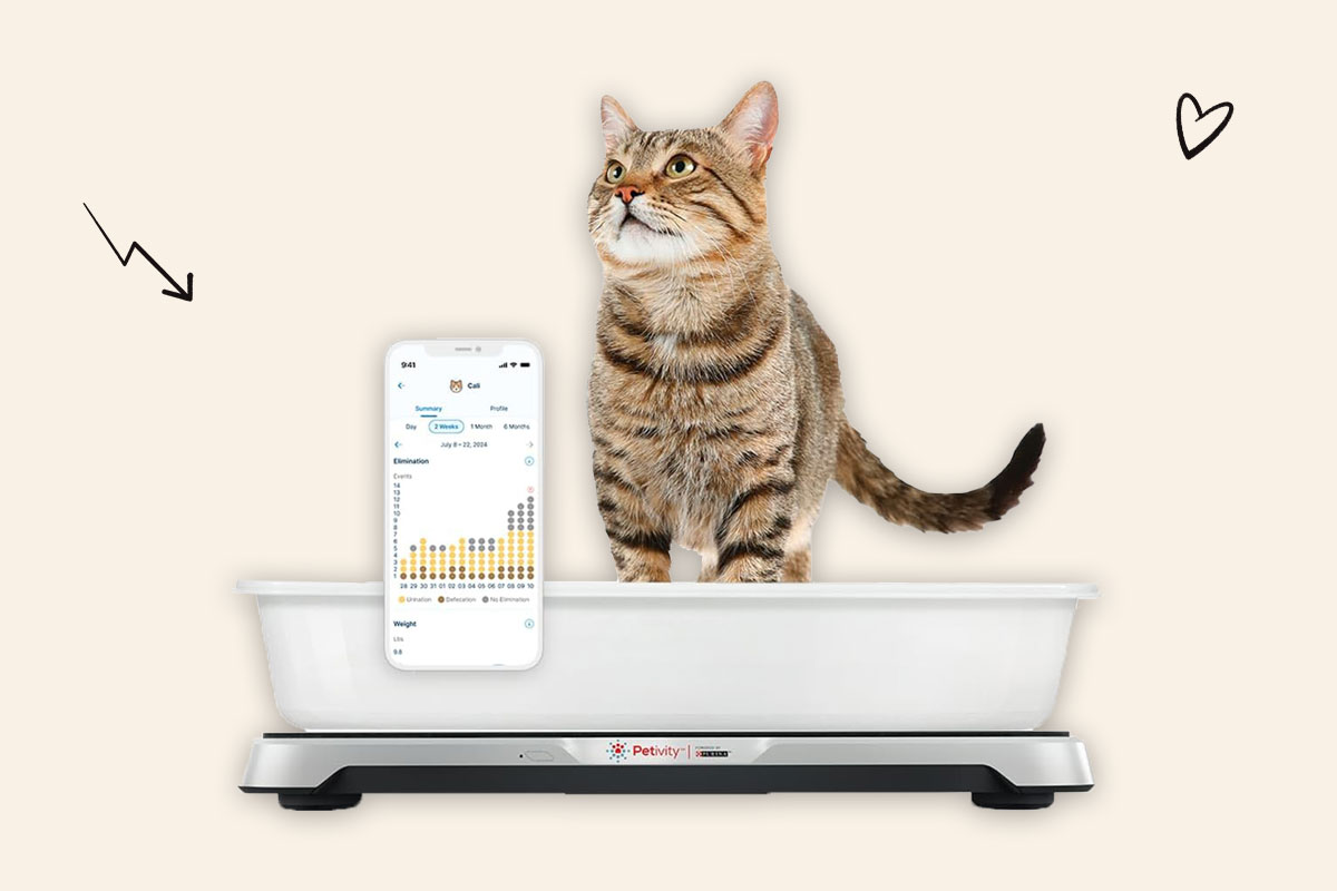A photo of the Petivity Smart Litter Box Monitor System
