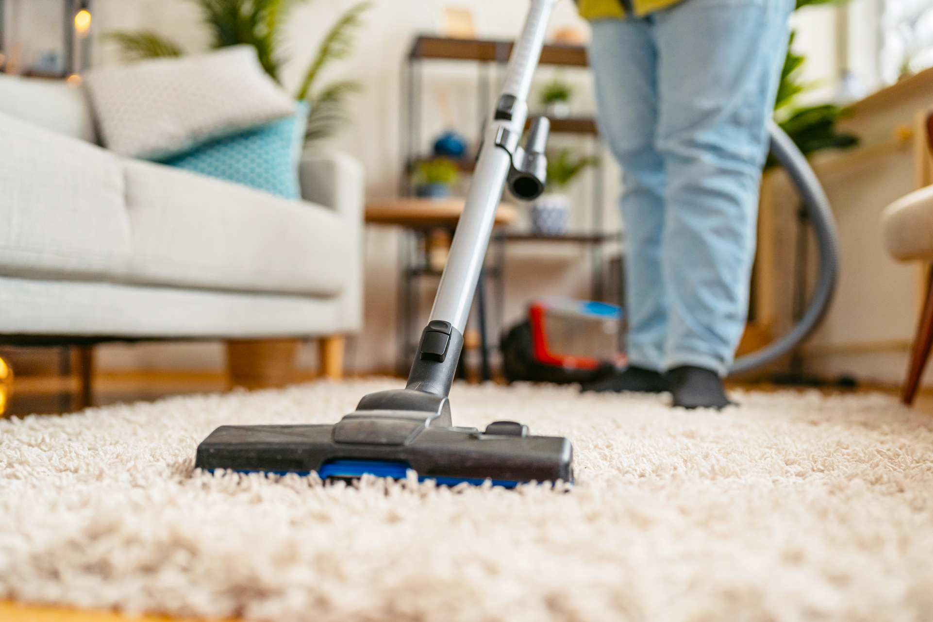Photo of a vacuum on carpet