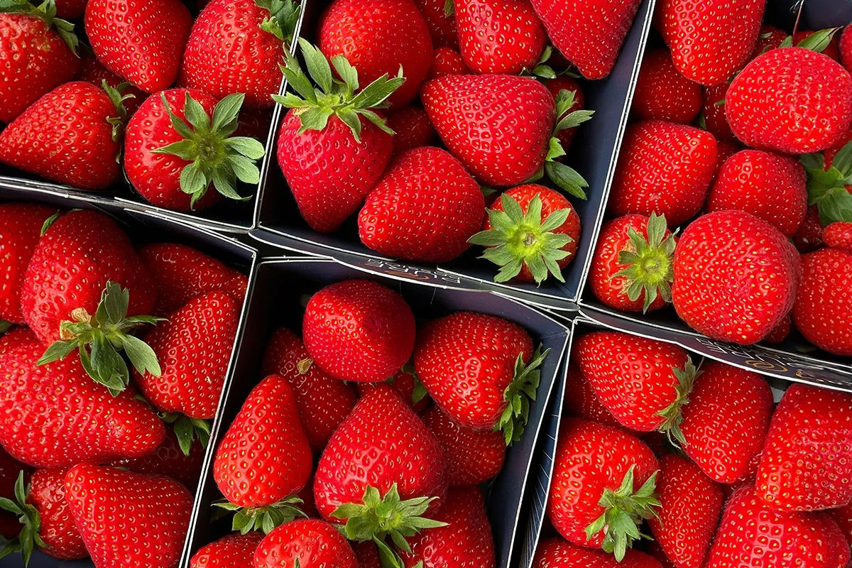 Baskets of strawberries.

