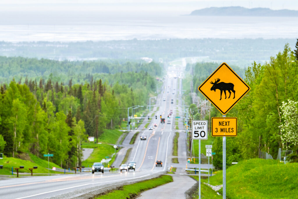 Road with a yellow sign warning of moose