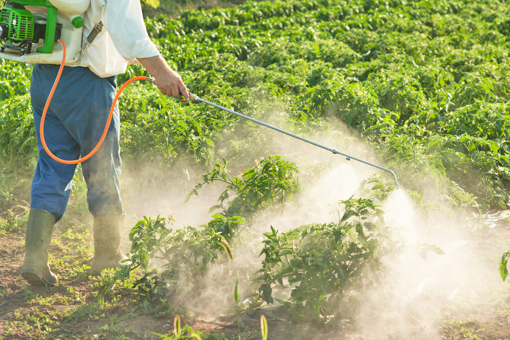 Person spraying pesticides