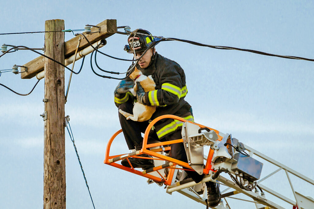 Firefighter rescuing cat